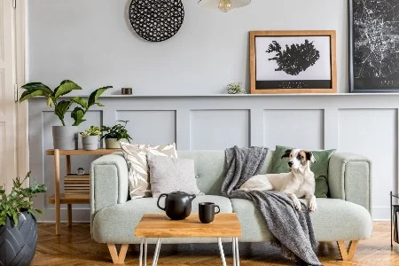 Gemütliches Wohnzimmer mit Hund auf Sofa